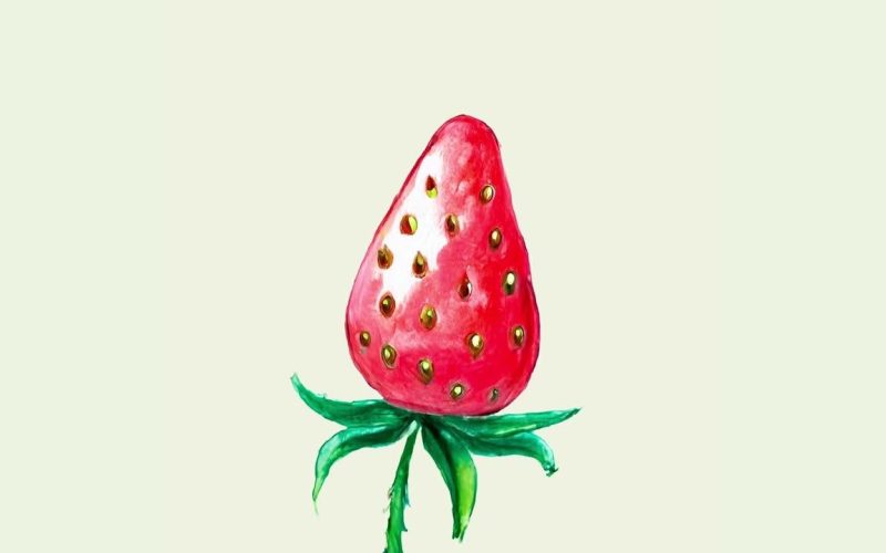 Fabiano Medeiros lança versão de “Strawberry Fields Forever” acústica e intimista